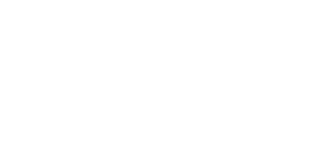 Aero Vip Academy