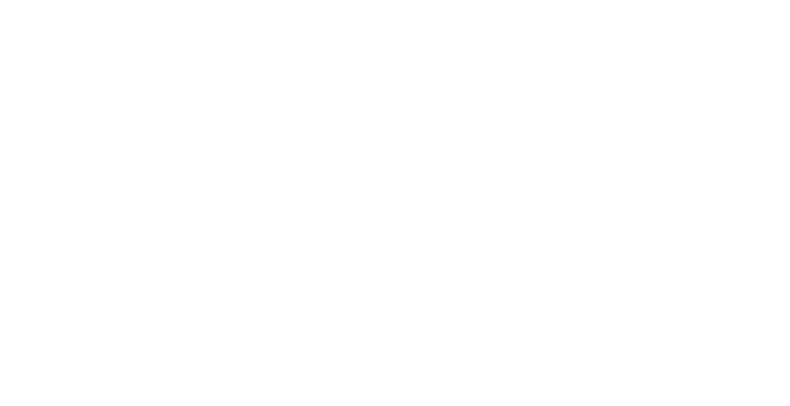 Aero Vip Academy